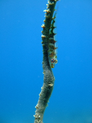 d0102664_1291367.jpg