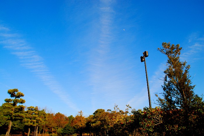 e0020166_827724.jpg