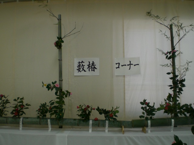f0153475_13301057.jpg