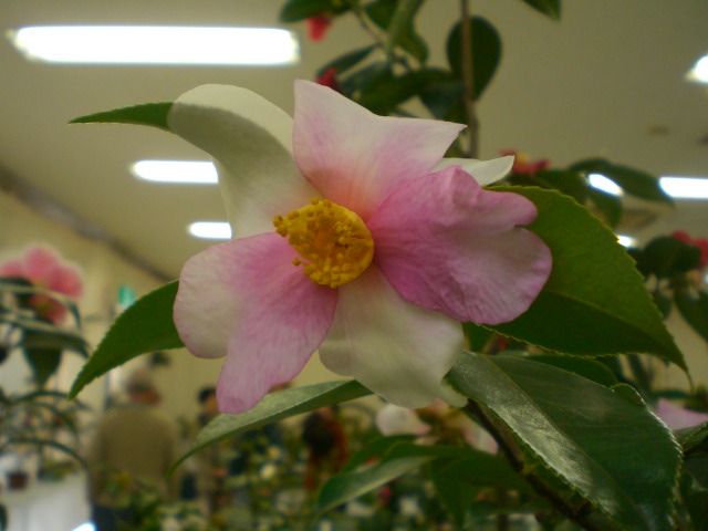 f0153475_13345088.jpg