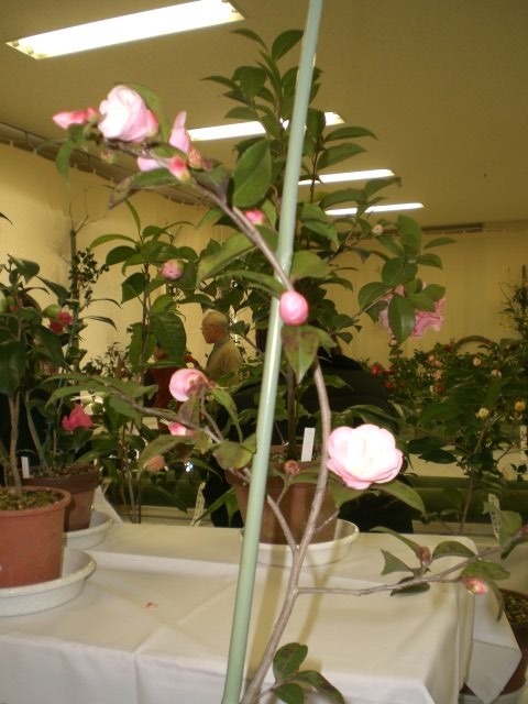 f0153475_13364071.jpg