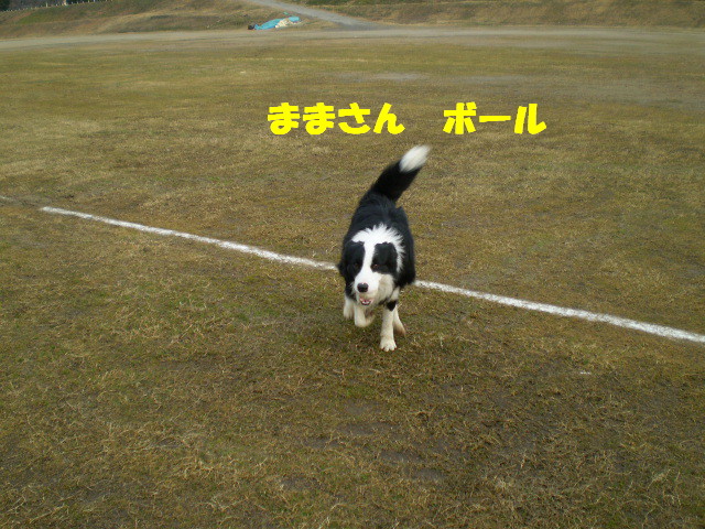 e0117976_1139383.jpg