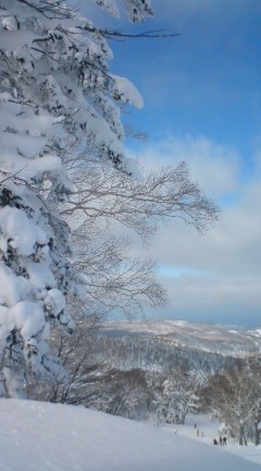 c0103278_23412037.jpg