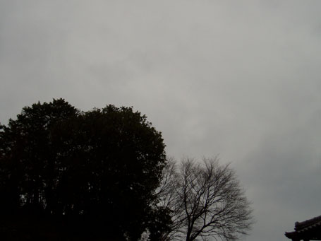 e0100589_1435645.jpg