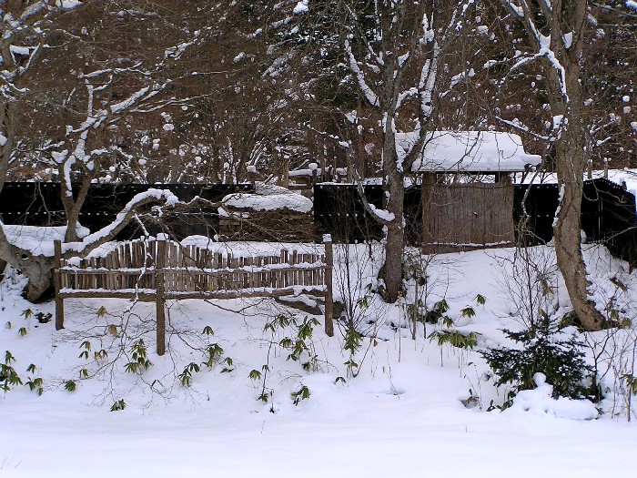 a0067991_1012433.jpg