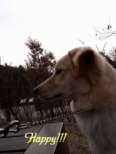 a0093592_02409.jpg
