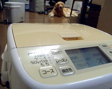 c0096393_0343482.jpg