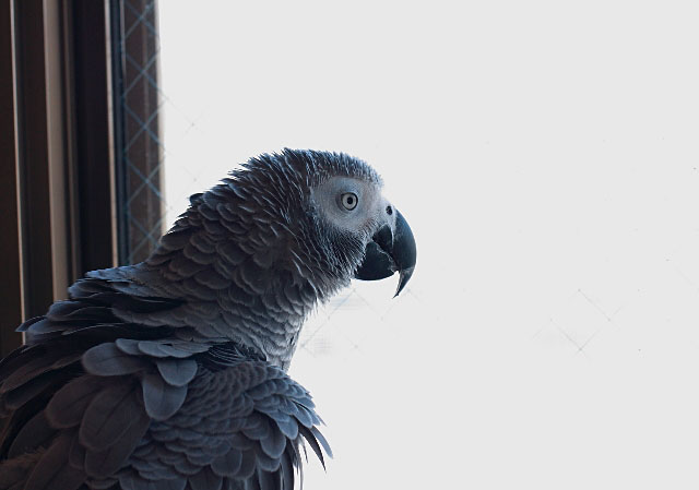 c0118496_2048863.jpg