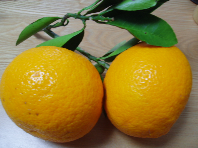 a0024400_11404477.jpg