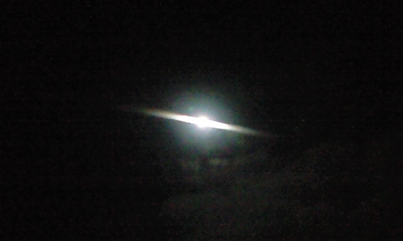 b0083902_035441.jpg