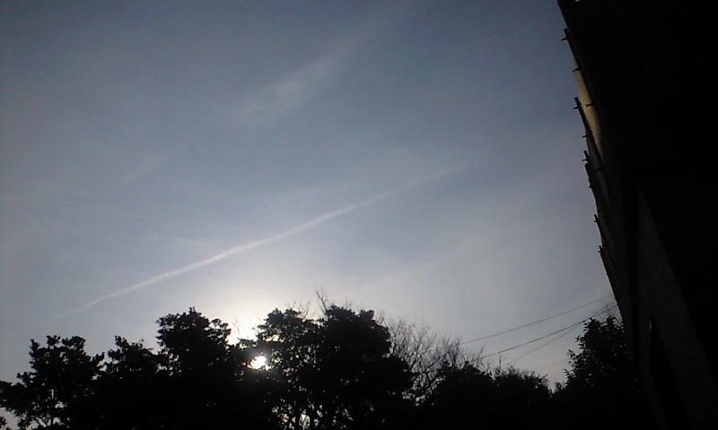 b0083902_0445227.jpg