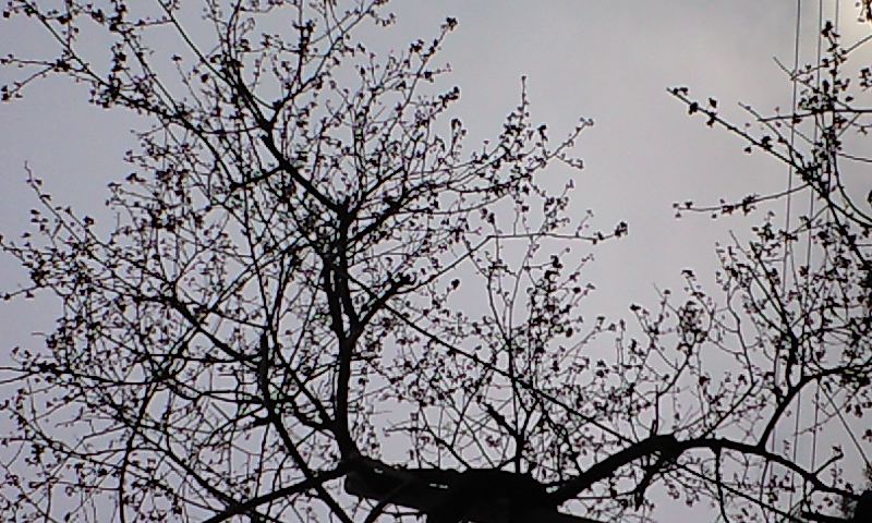 b0083902_0572491.jpg