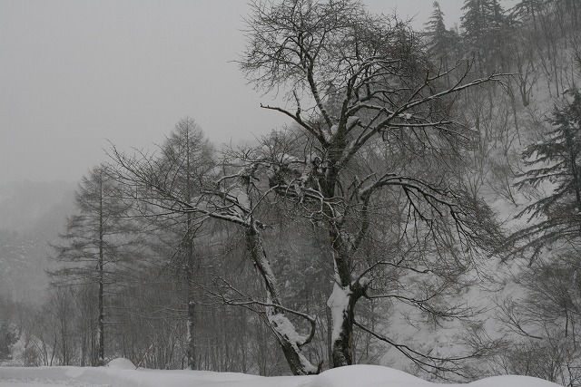 c0130306_1034543.jpg