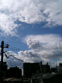 e0101411_23554163.jpg