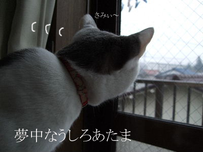 c0006312_17554868.jpg