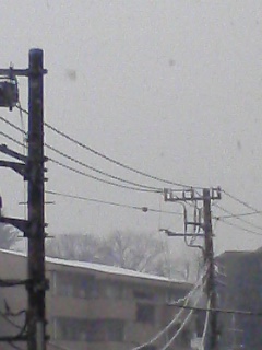 c0140616_921111.jpg