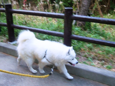 e0024126_21184348.jpg