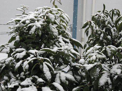 e0092926_1651434.jpg