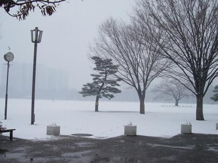 b0085331_20115638.jpg