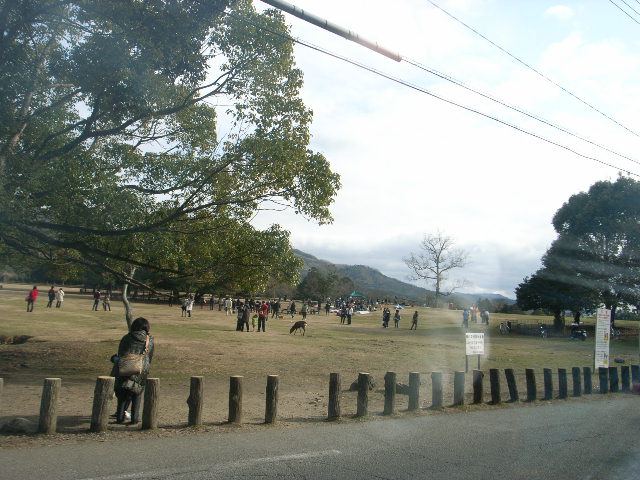 d0105133_2047335.jpg