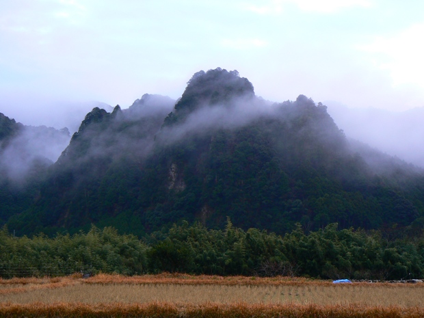 e0083238_2124962.jpg