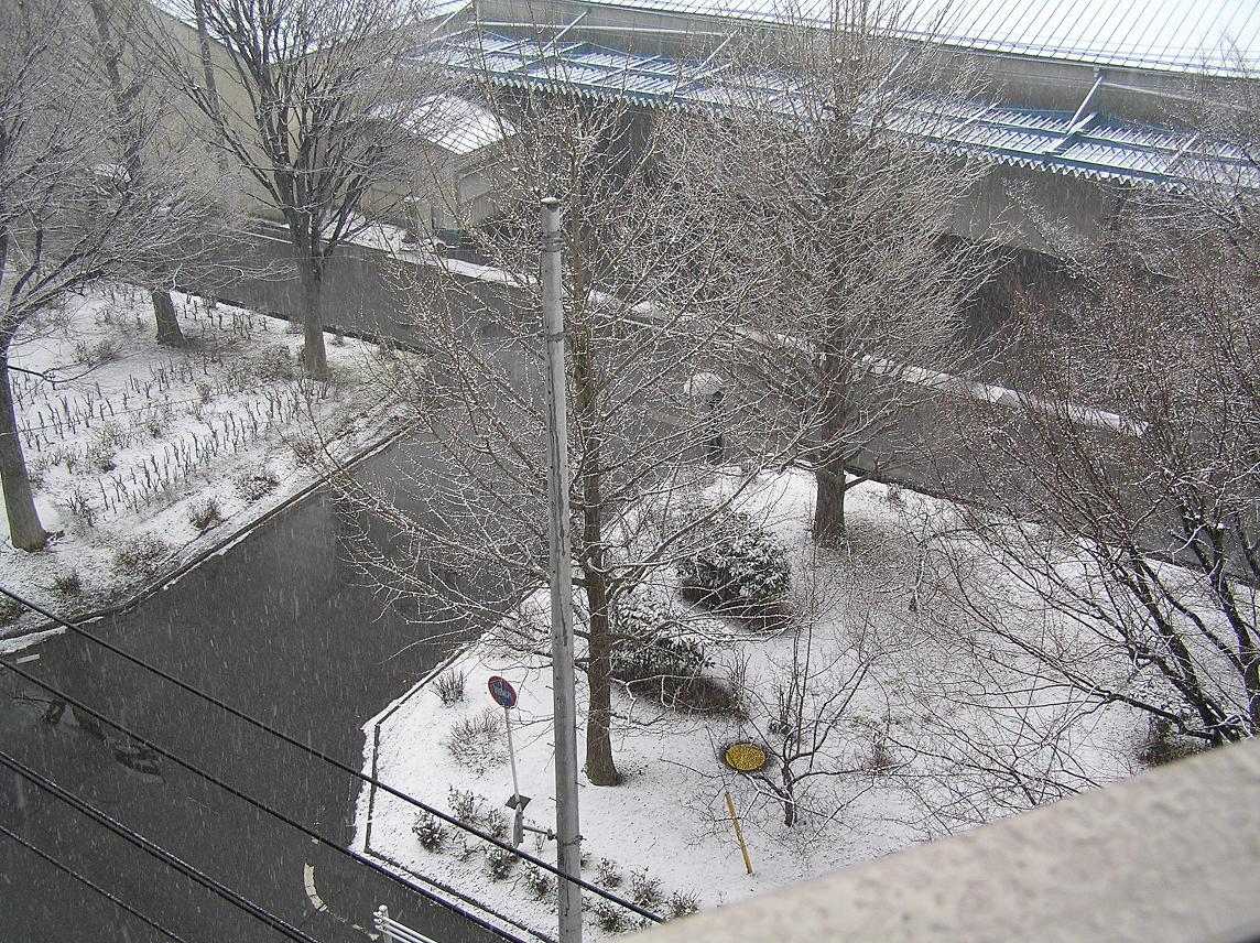 c0106039_2145627.jpg