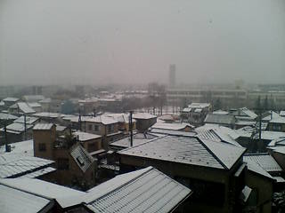 b0017147_11175766.jpg
