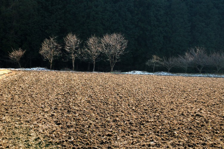 e0009147_175295.jpg