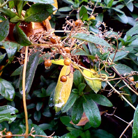e0034047_16221374.jpg