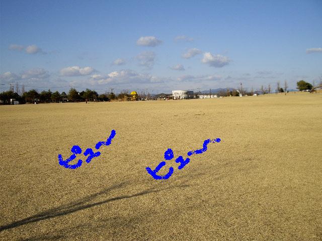 e0098547_1611272.jpg