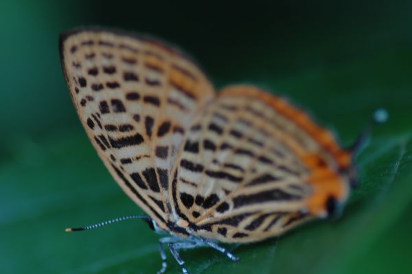 d0098057_65943100.jpg