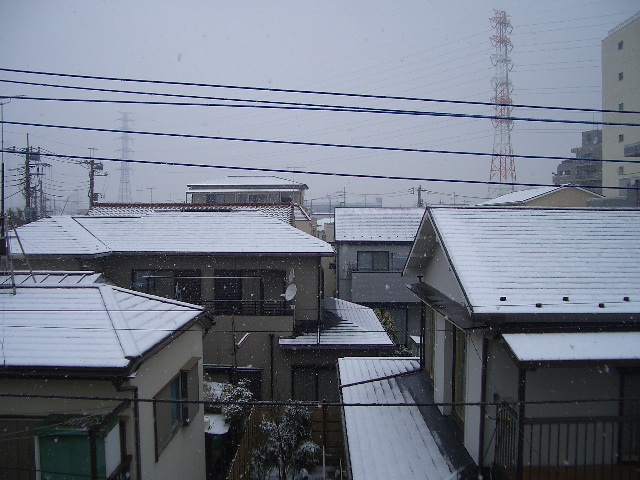 d0136263_1355192.jpg