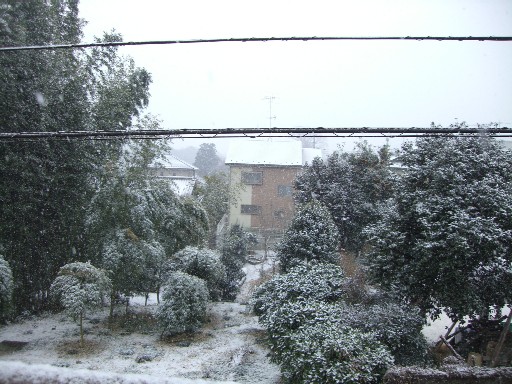 f0110663_8241668.jpg