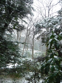 c0102268_2227547.jpg