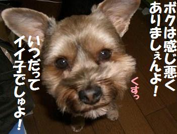 a0105570_2364131.jpg