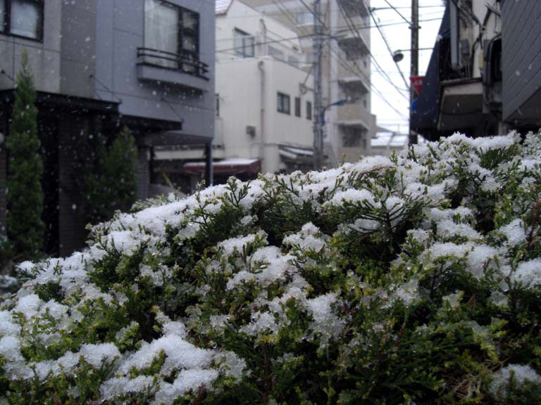 b0060071_23513177.jpg