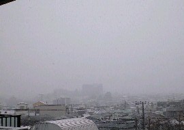 f0061674_21375057.jpg