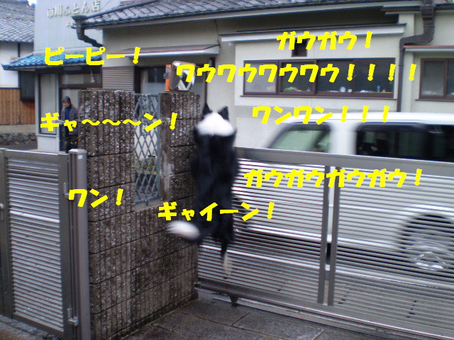 e0117976_1558145.jpg