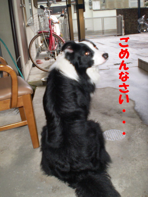 e0117976_15593232.jpg
