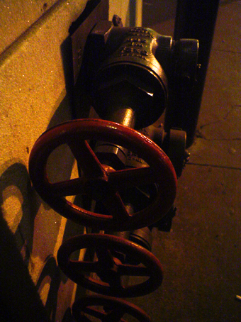 f0056476_1322857.jpg