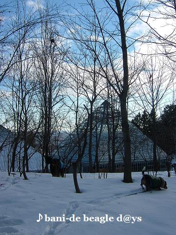 f0150377_1527497.jpg