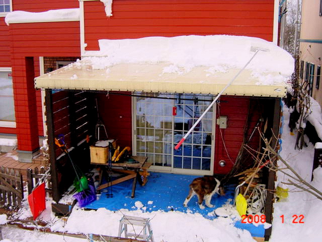 a0007388_1324038.jpg