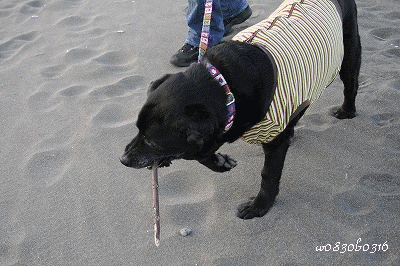 c0149893_23562992.gif
