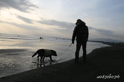 c0149893_23583725.gif