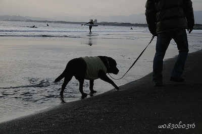 c0149893_23592431.gif