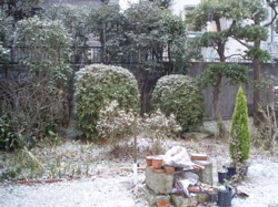 f0130894_17481442.jpg