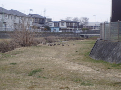 c0086895_11191529.jpg