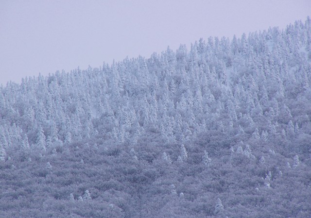 c0118496_21114410.jpg