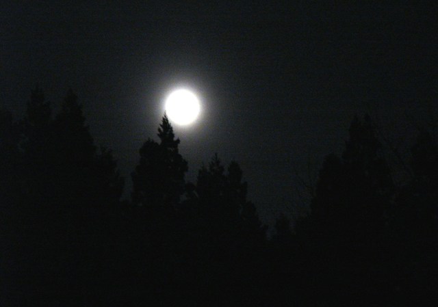 c0118496_21123480.jpg
