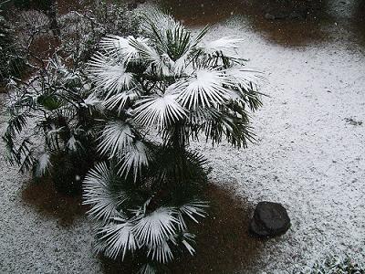 f0153998_22255751.jpg